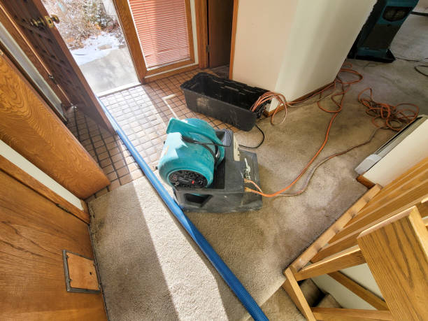 Best Carpet water damage restoration  in Tamaqua, PA