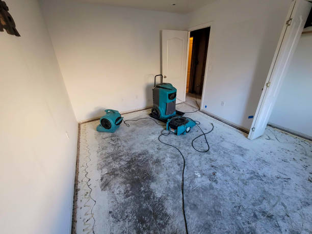 Best Water damage restoration services  in Tamaqua, PA