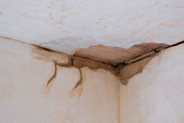 Best Water damage restoration near me  in Tamaqua, PA