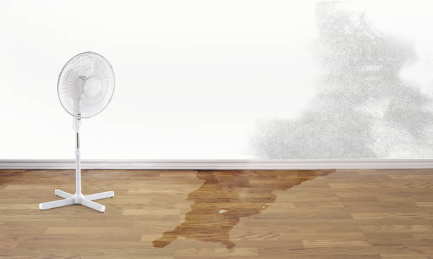 Best Flood damage cleanup  in Tamaqua, PA