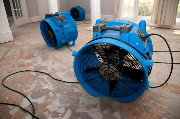 Best Water damage mitigation services  in Tamaqua, PA