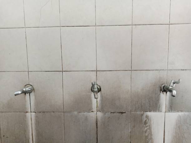 Best Commercial water damage restoration  in Tamaqua, PA
