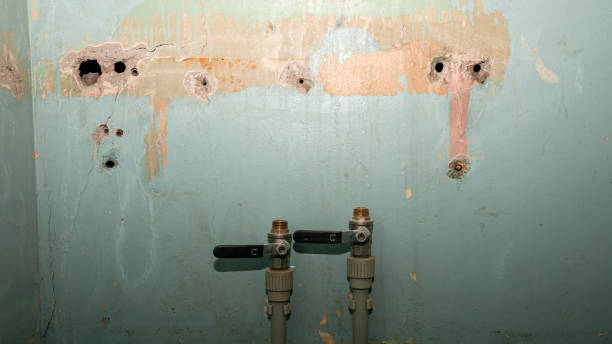 Best Professional water damage repair  in Tamaqua, PA