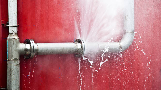 Best 24/7 water damage repair  in Tamaqua, PA
